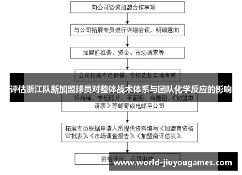 评估浙江队新加盟球员对整体战术体系与团队化学反应的影响