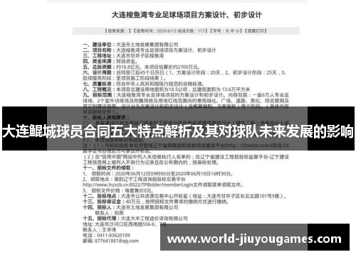 大连鲲城球员合同五大特点解析及其对球队未来发展的影响