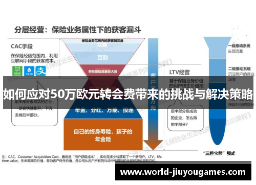 如何应对50万欧元转会费带来的挑战与解决策略