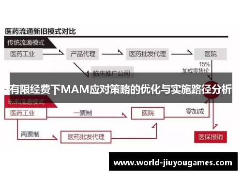 有限经费下MAM应对策略的优化与实施路径分析