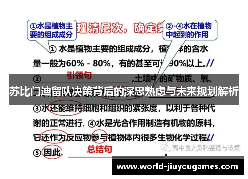 苏比门迪留队决策背后的深思熟虑与未来规划解析